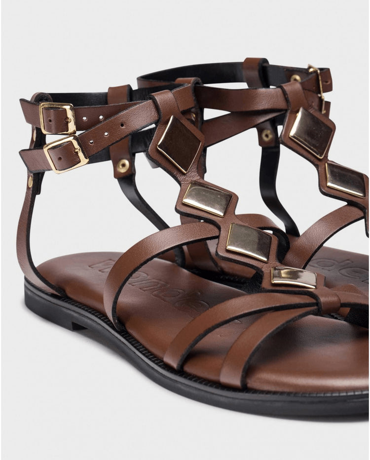 Zoro | Brown | Wonders | Sandals | Jenny Shoo Bootique