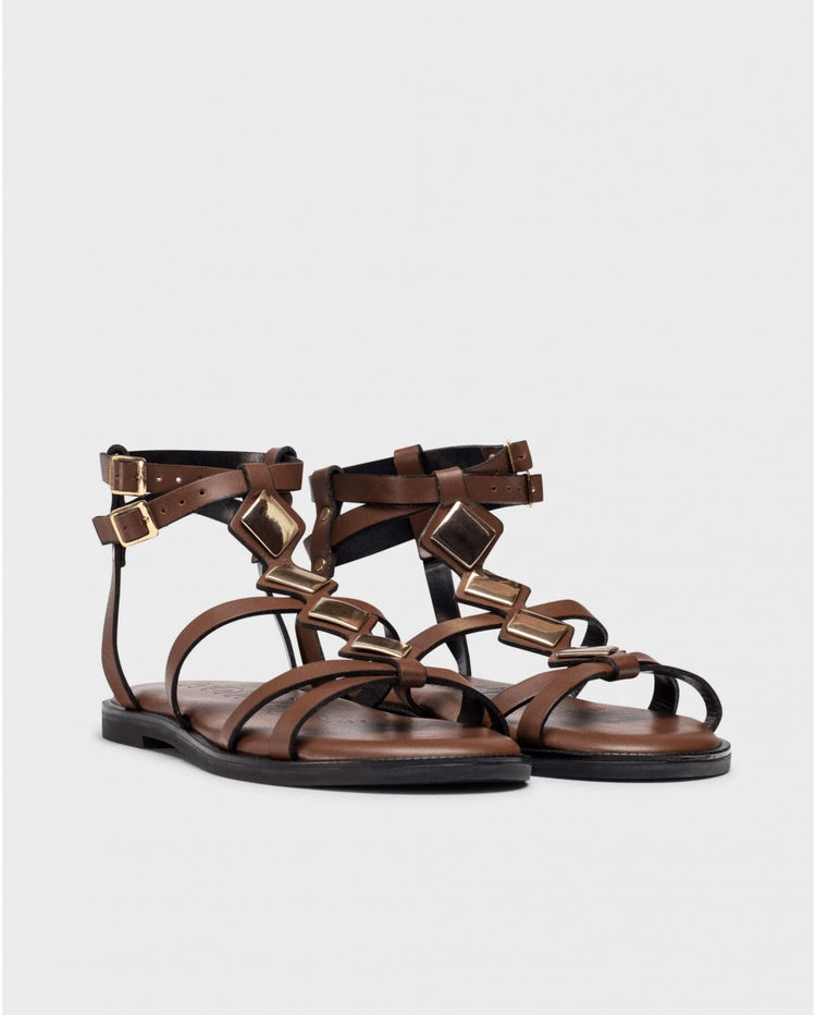 Zoro | Brown | Wonders | Sandals | Jenny Shoo Bootique