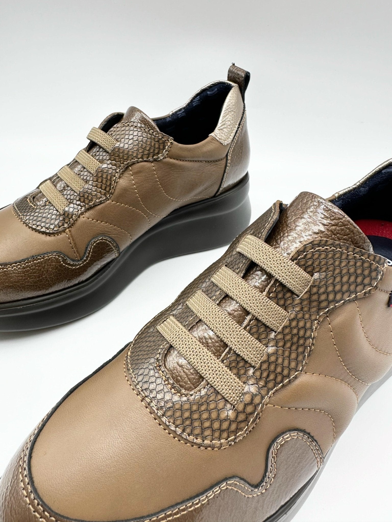 Hannita | Truffle | Callaghan | Trainers | Jenny Shoo Bootique