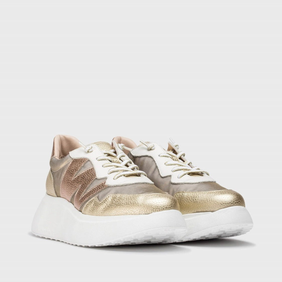 Zenit | Gold | Wonders | Trainers | Jenny Shoo Bootique