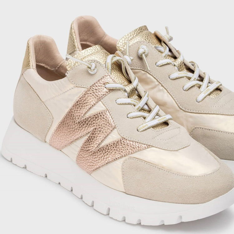 Oslo | Beige | Wonders | Trainers | Jenny Shoo Bootique