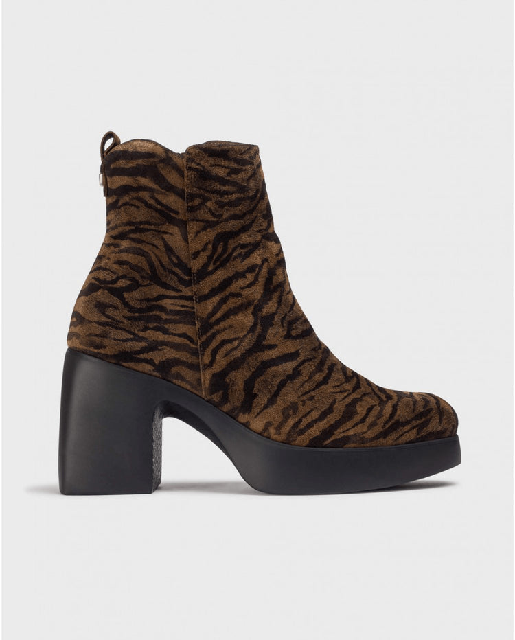 Lady Zebra 81 | Black - Tan | Wonders | Ankle Boots | Jenny Shoo Bootique