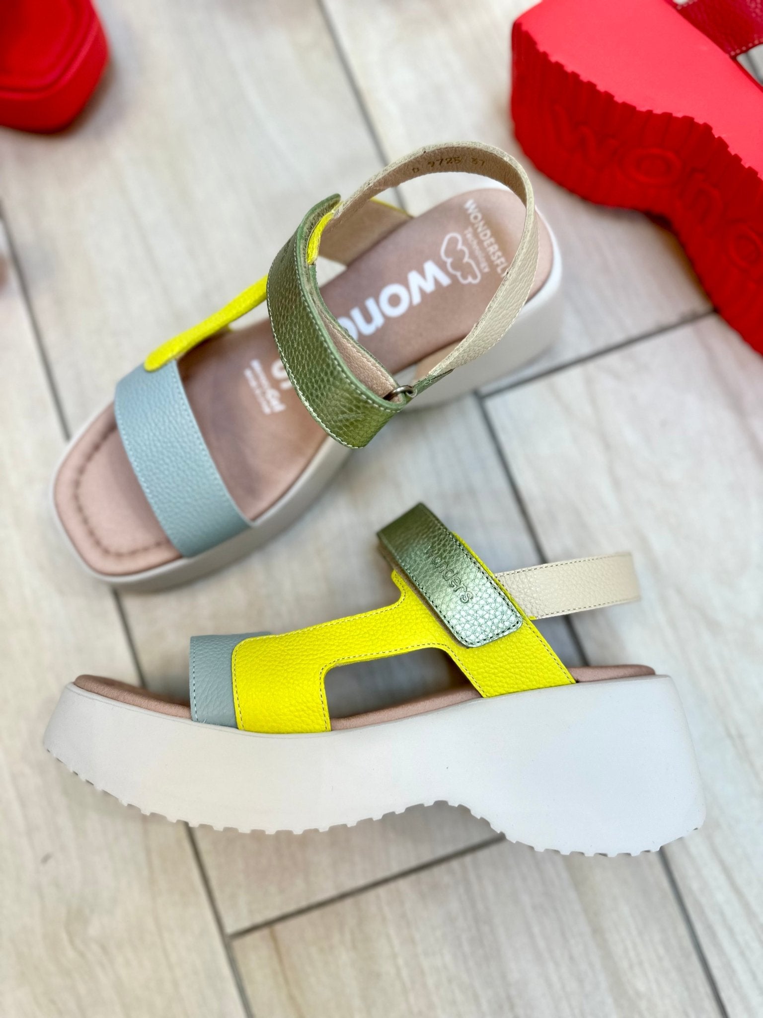 Telva | Blue - Lime - Green | Wonders | Sandals | Jenny Shoo Bootique