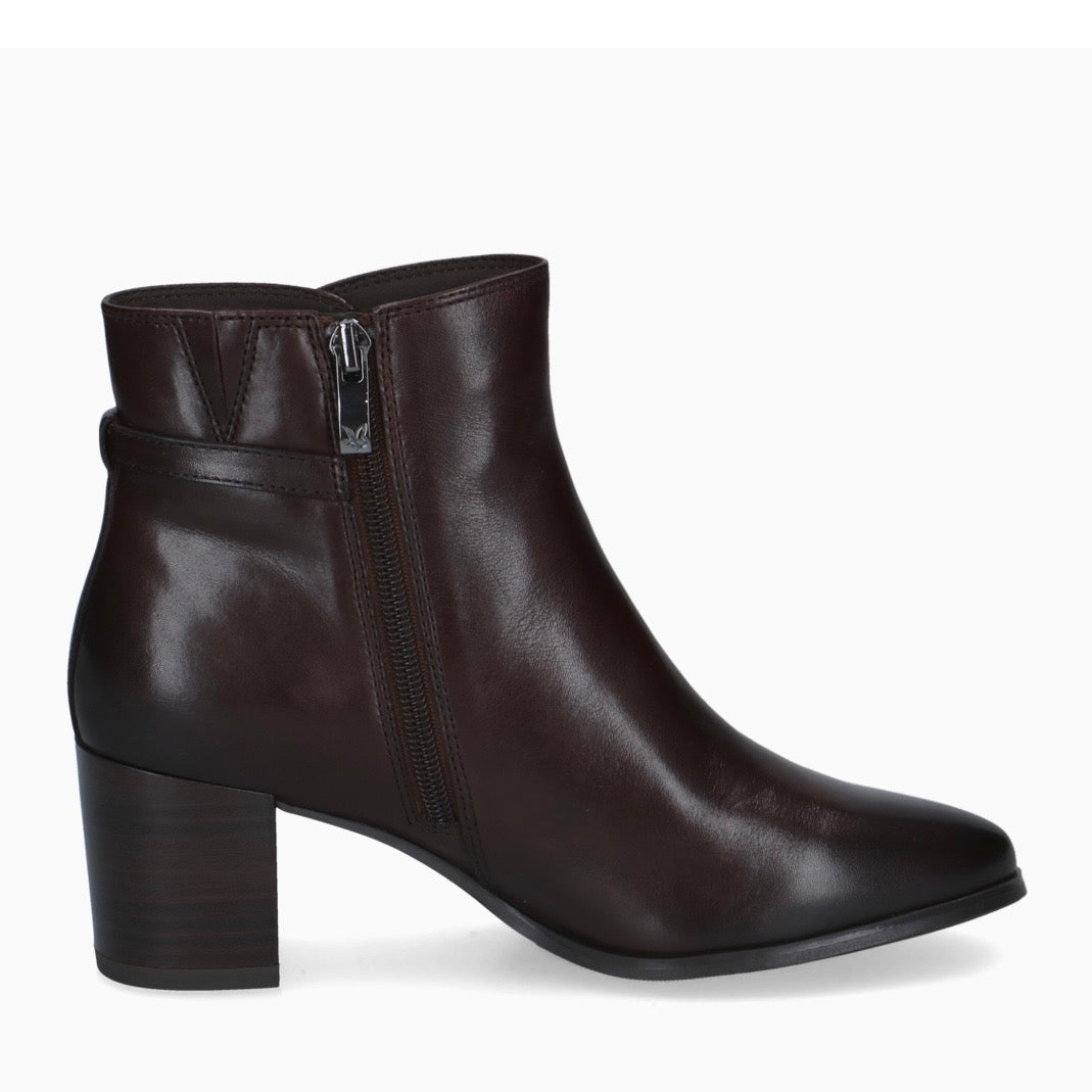 Paris | Brown