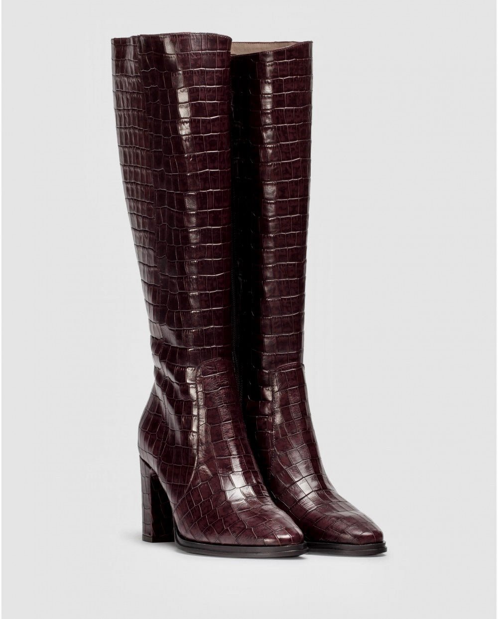 Treze | Brown | Wonders | Long Boots | Jenny Shoo Bootique