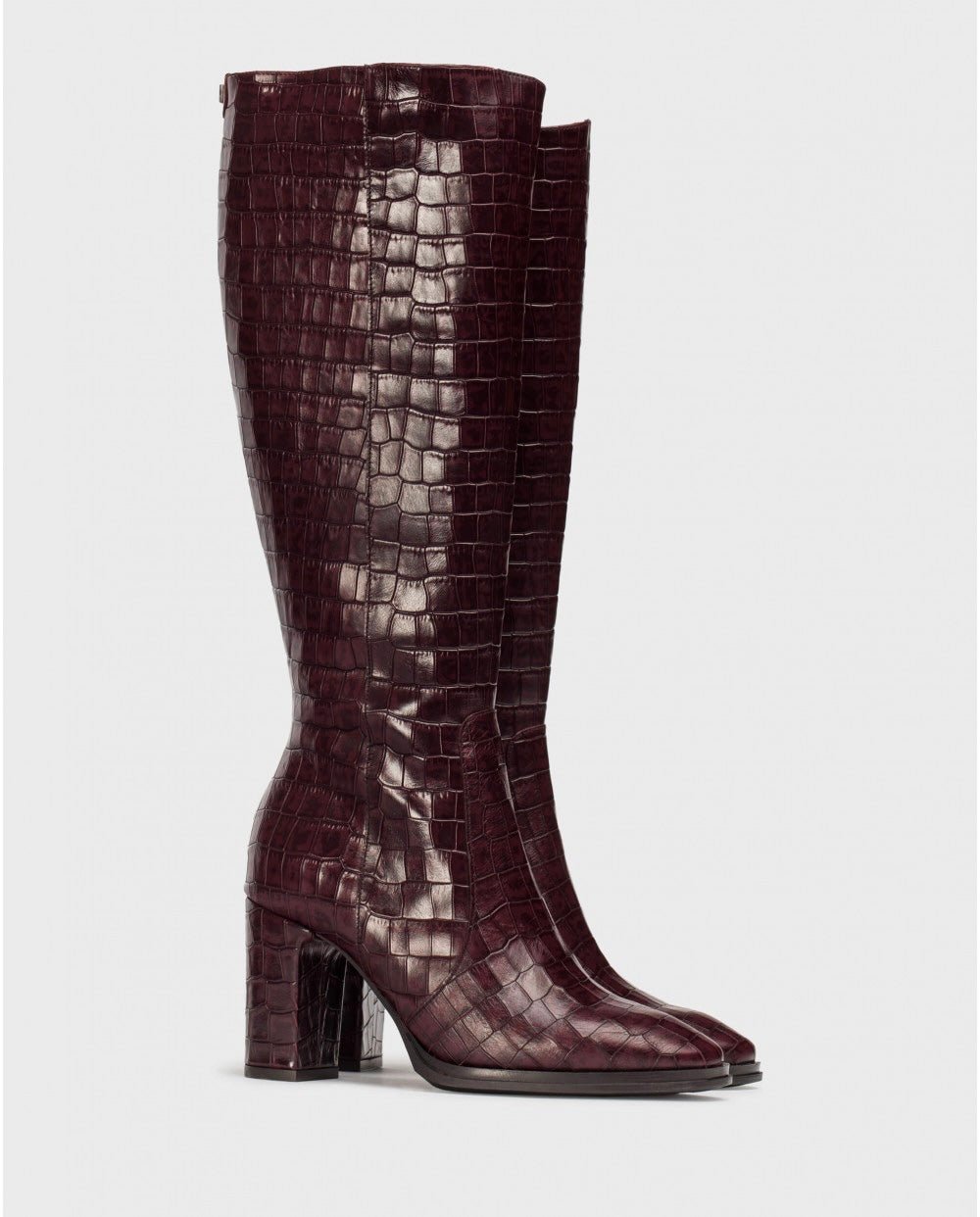 Treze | Brown | Wonders | Long Boots | Jenny Shoo Bootique