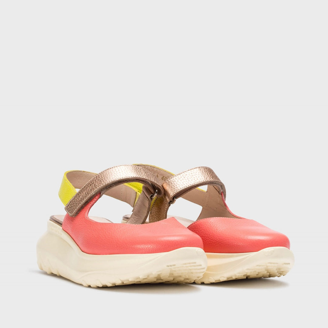 Zaire | Coral - Lime