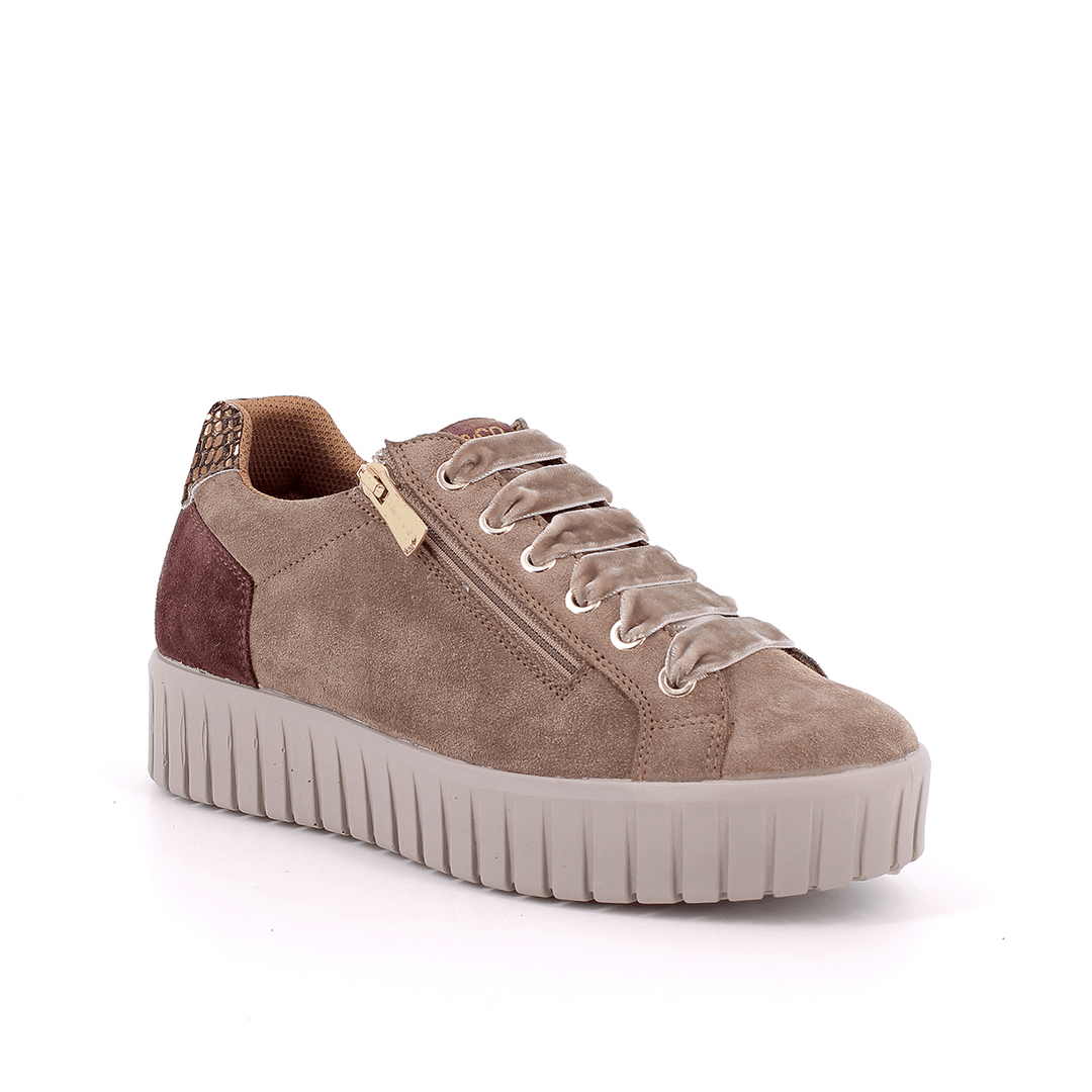 Lara | Taupe | IGI & CO | Trainers | Jenny Shoo Bootique
