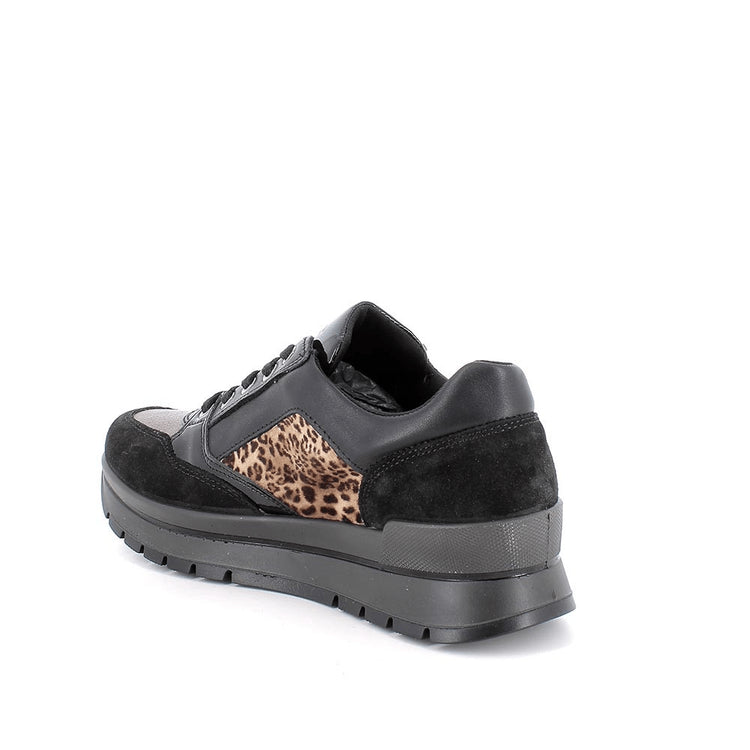 Trish | Black | IGI & CO | Trainers | Jenny Shoo Bootique