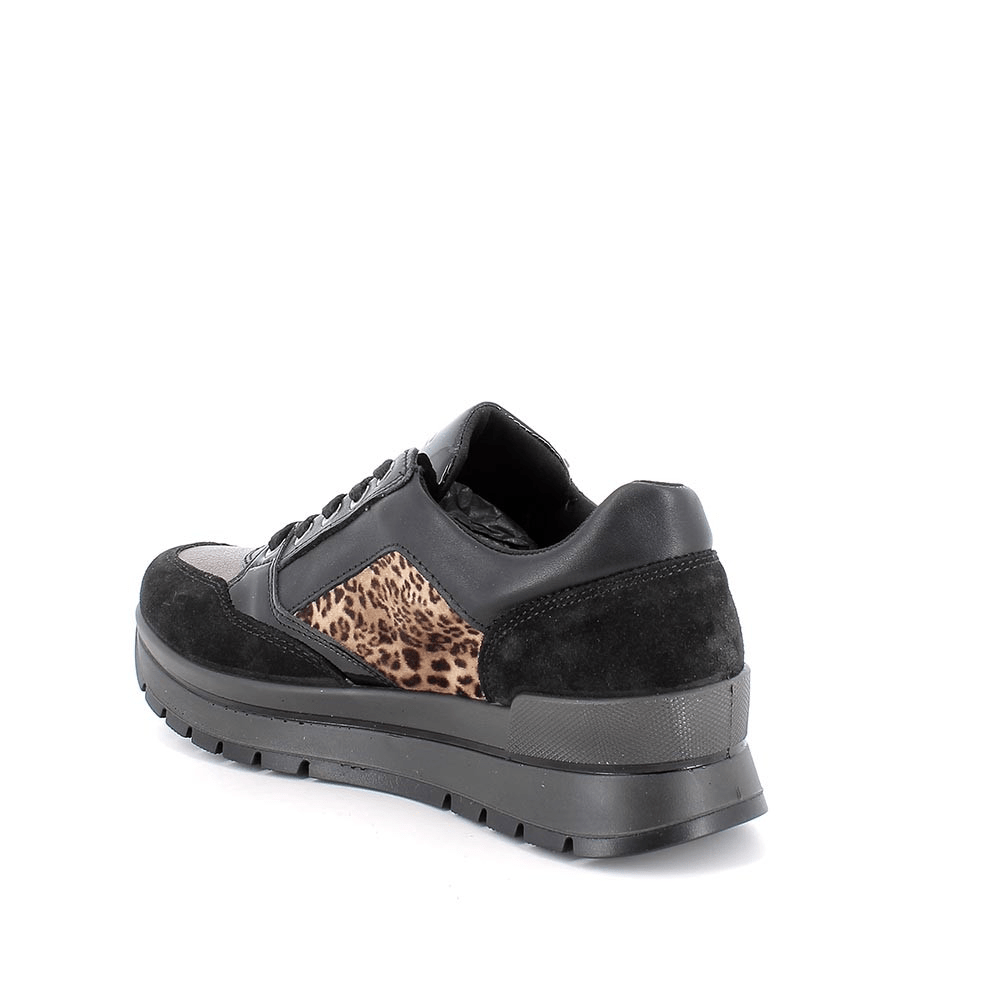 Trish | Black | IGI & CO | Trainers | Jenny Shoo Bootique