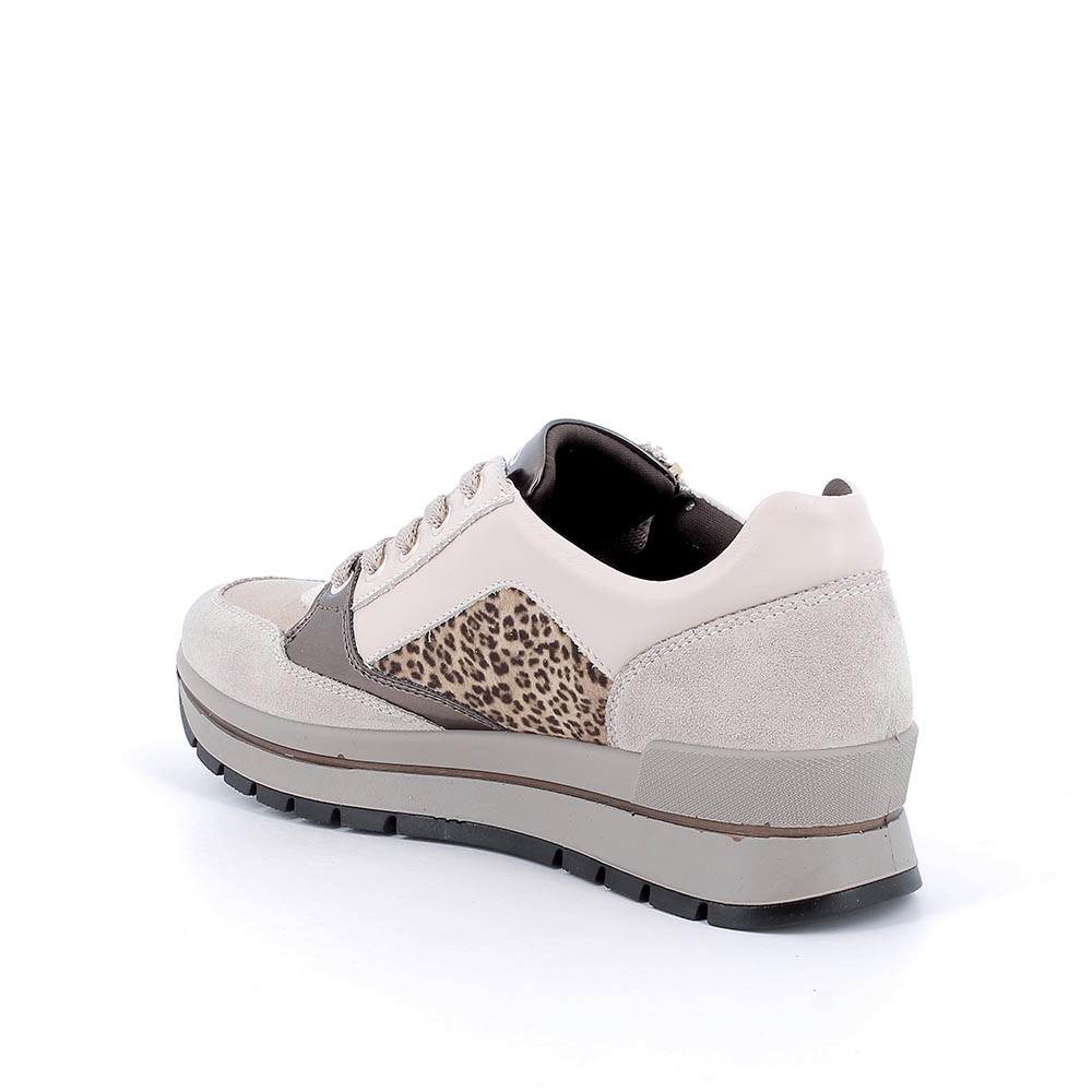 Trish | Beige | IGI & CO | Trainers | Jenny Shoo Bootique