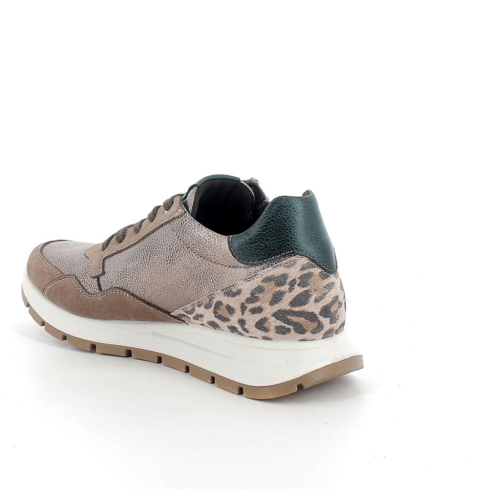 Tina | Taupe | IGI & CO | Trainers | Jenny Shoo Bootique