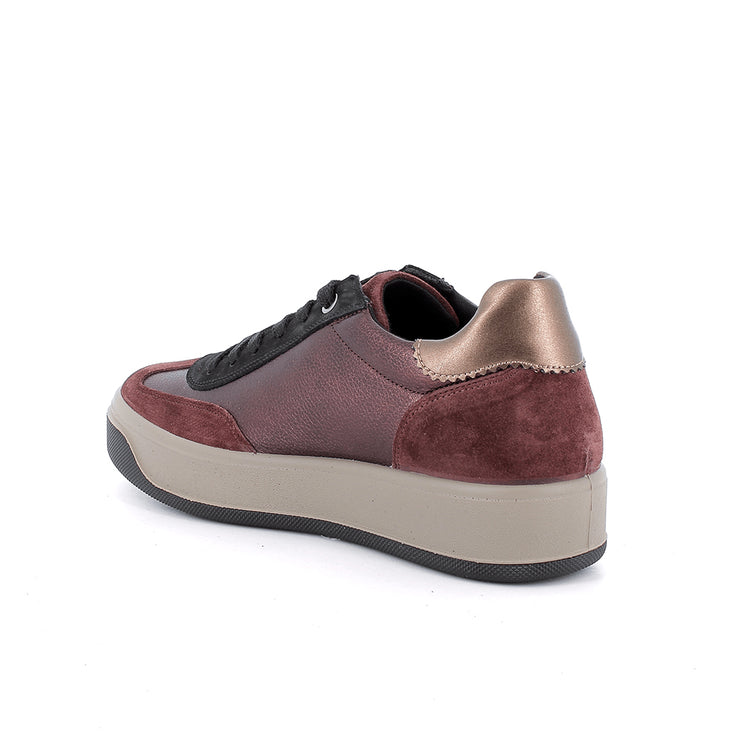 Lux | Burgundy | IGI & CO | Trainers | Jenny Shoo Bootique