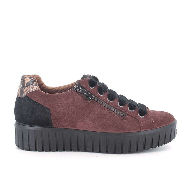 Lara | Burgundy | IGI & CO | Trainers | Jenny Shoo Bootique