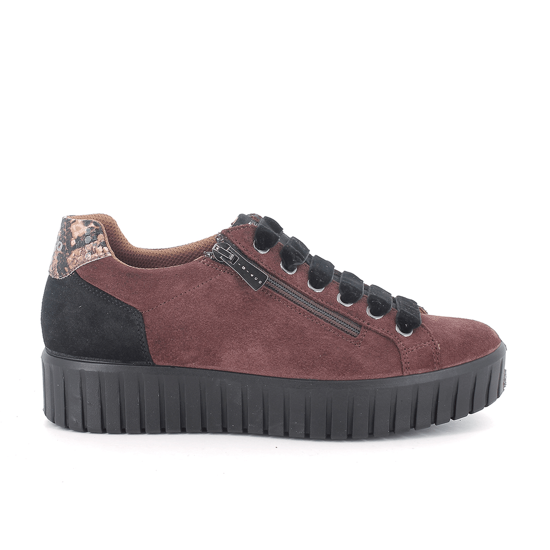 Lara | Burgundy | IGI & CO | Trainers | Jenny Shoo Bootique