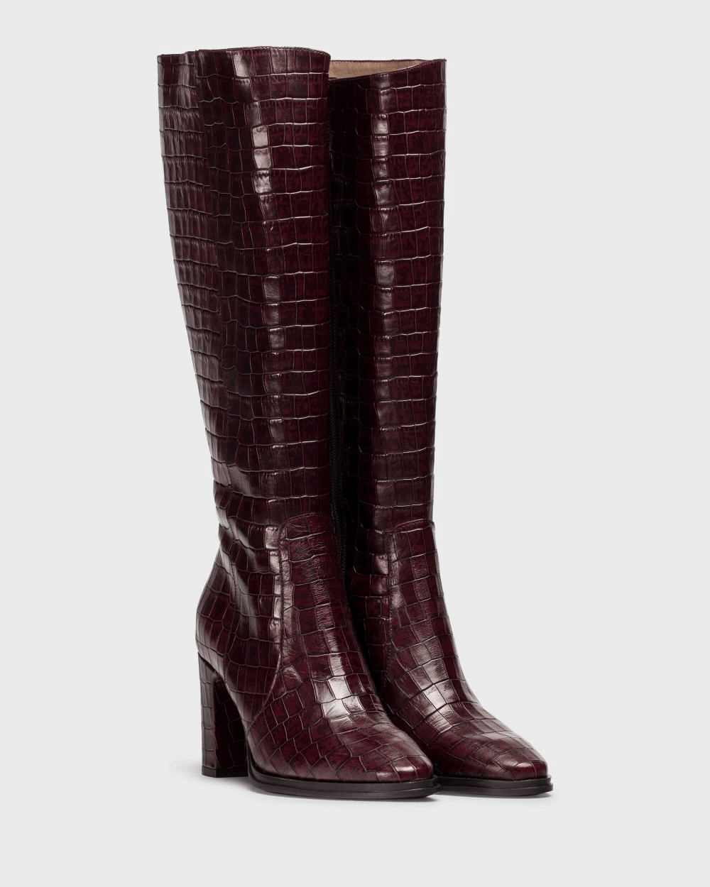 Treze | Brown | Wonders | Long Boots | Jenny Shoo Bootique