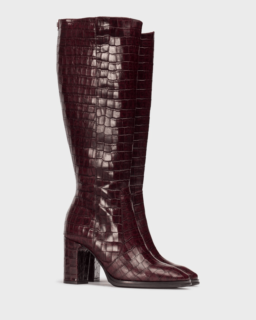 Treze | Brown | Wonders | Long Boots | Jenny Shoo Bootique