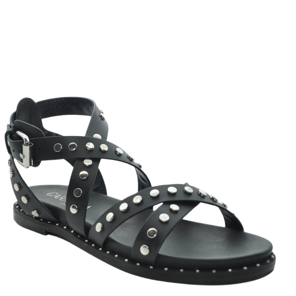 Latin | Black