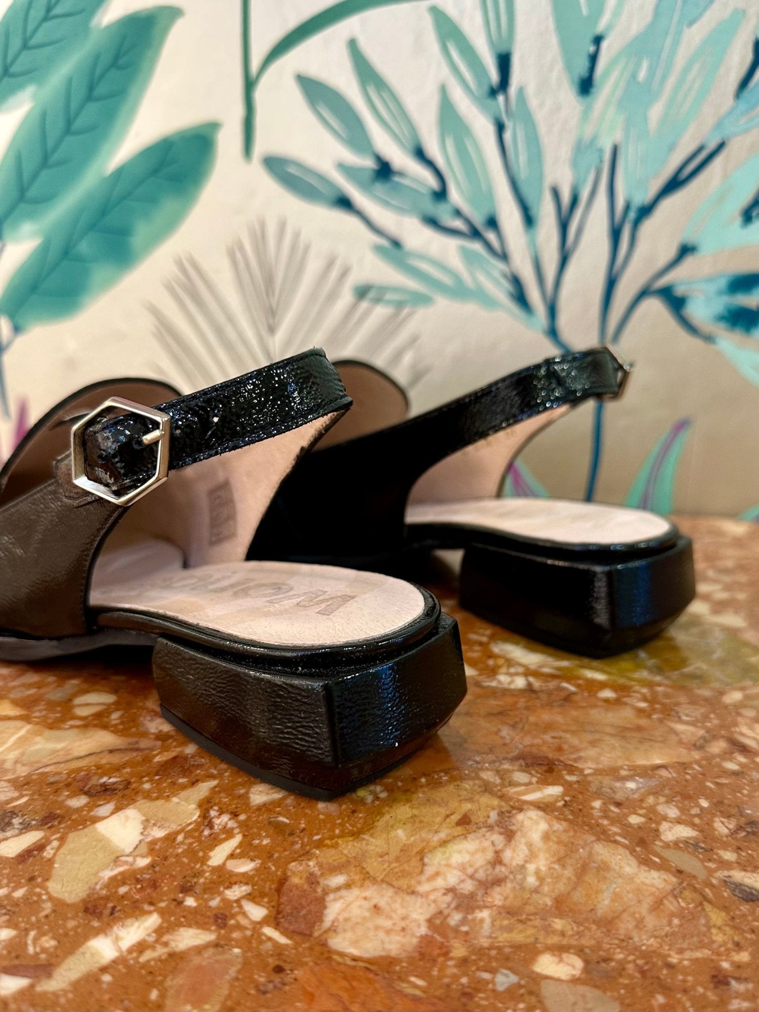 Trish | Black | Wonders | Flats | Jenny Shoo Bootique