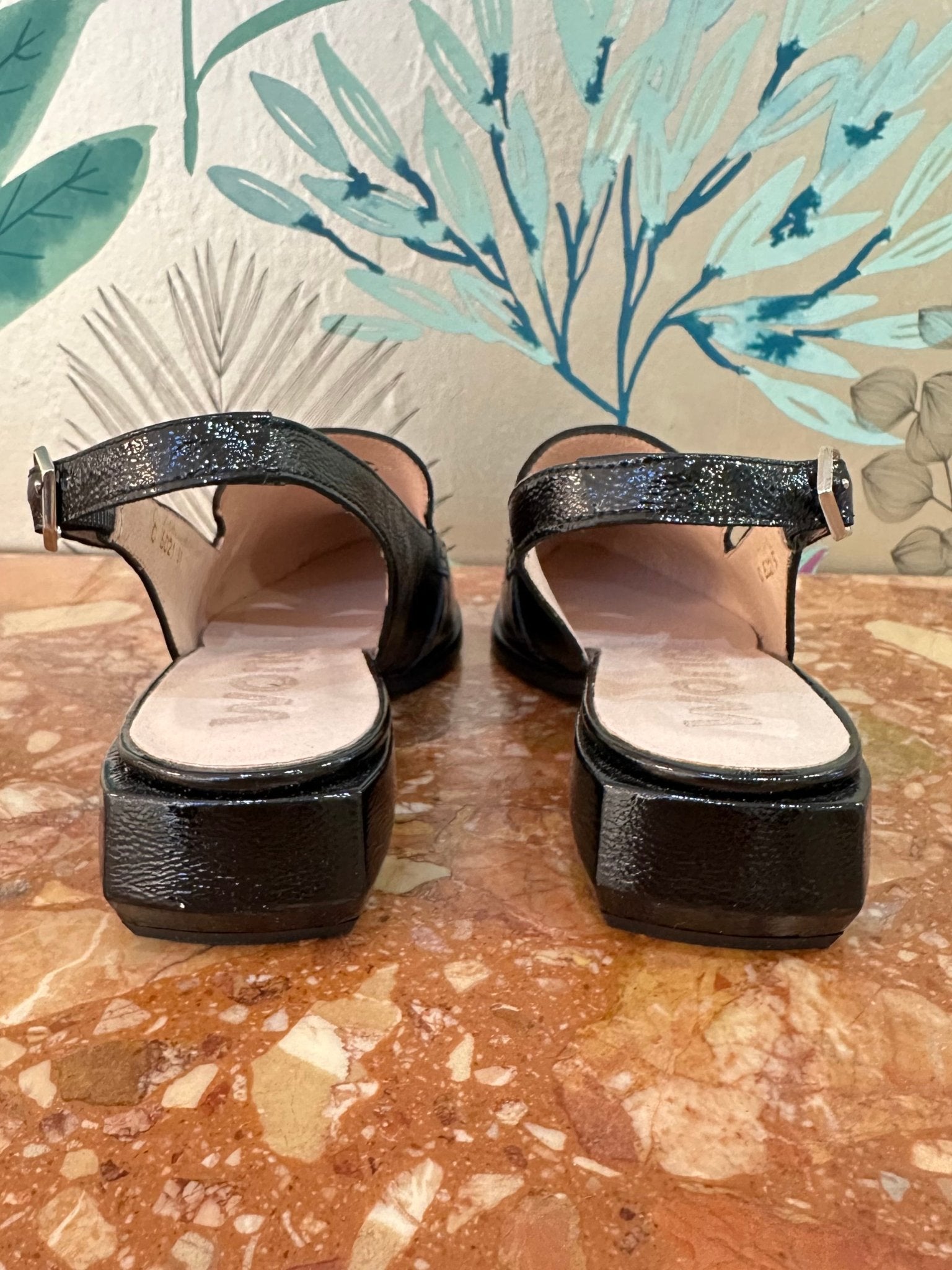 Trish | Black | Wonders | Flats | Jenny Shoo Bootique