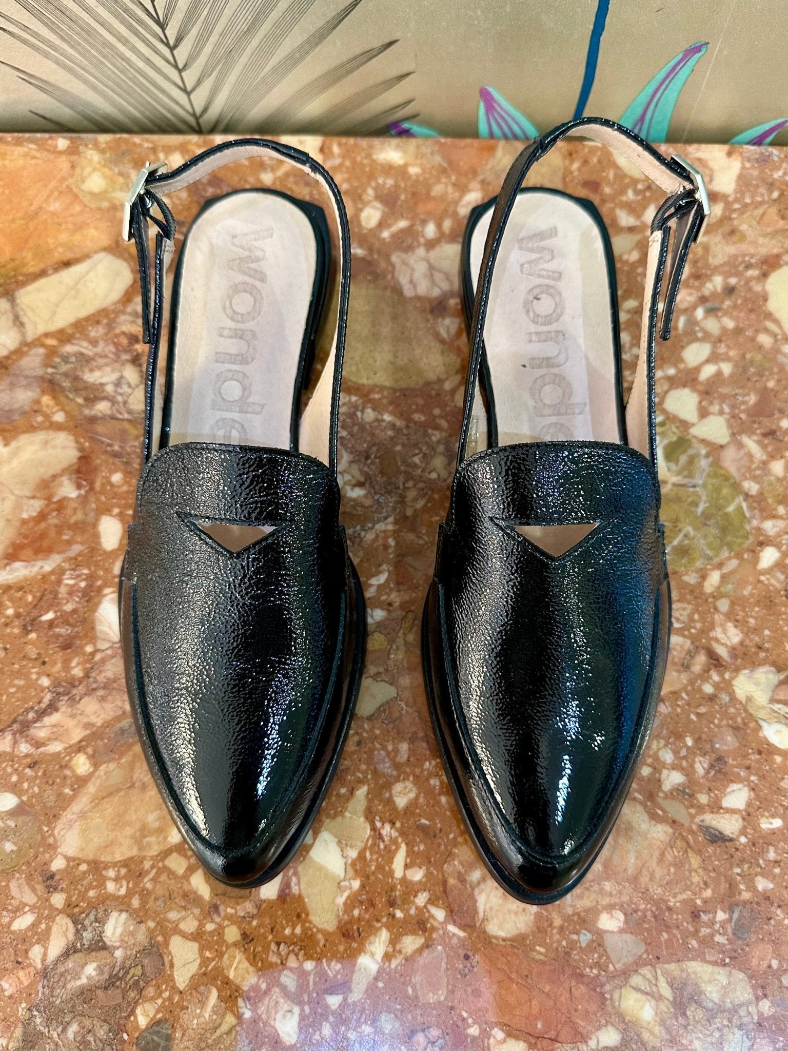Trish | Black | Wonders | Flats | Jenny Shoo Bootique