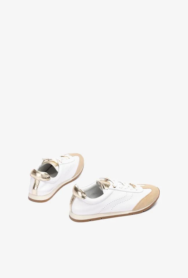 Dara | White | Unisa | Trainers | Jenny Shoo Bootique
