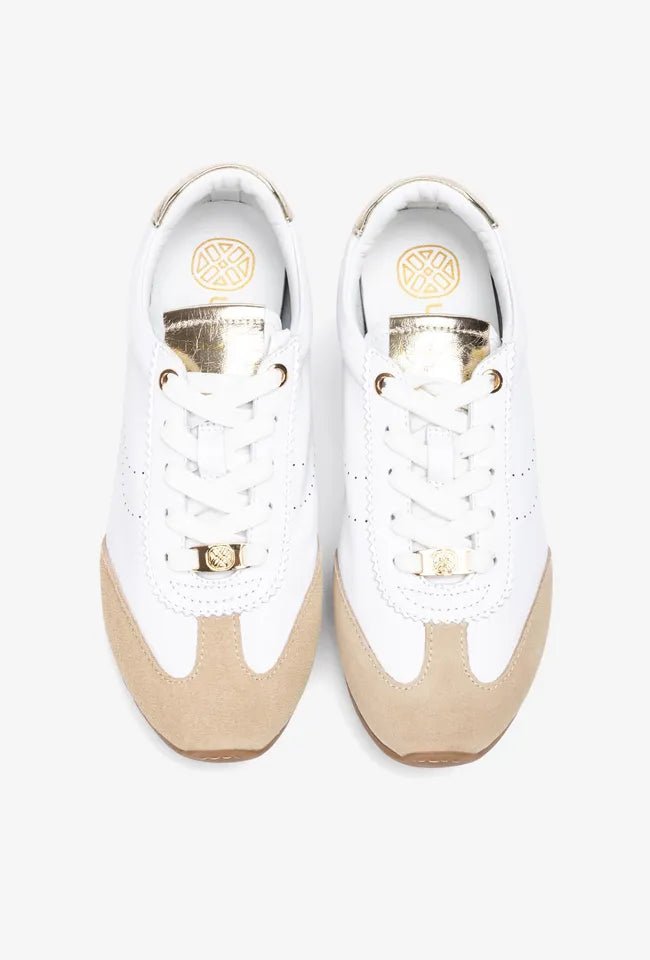 Dara | White | Unisa | Trainers | Jenny Shoo Bootique