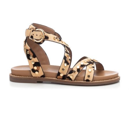 Latin | Leopard