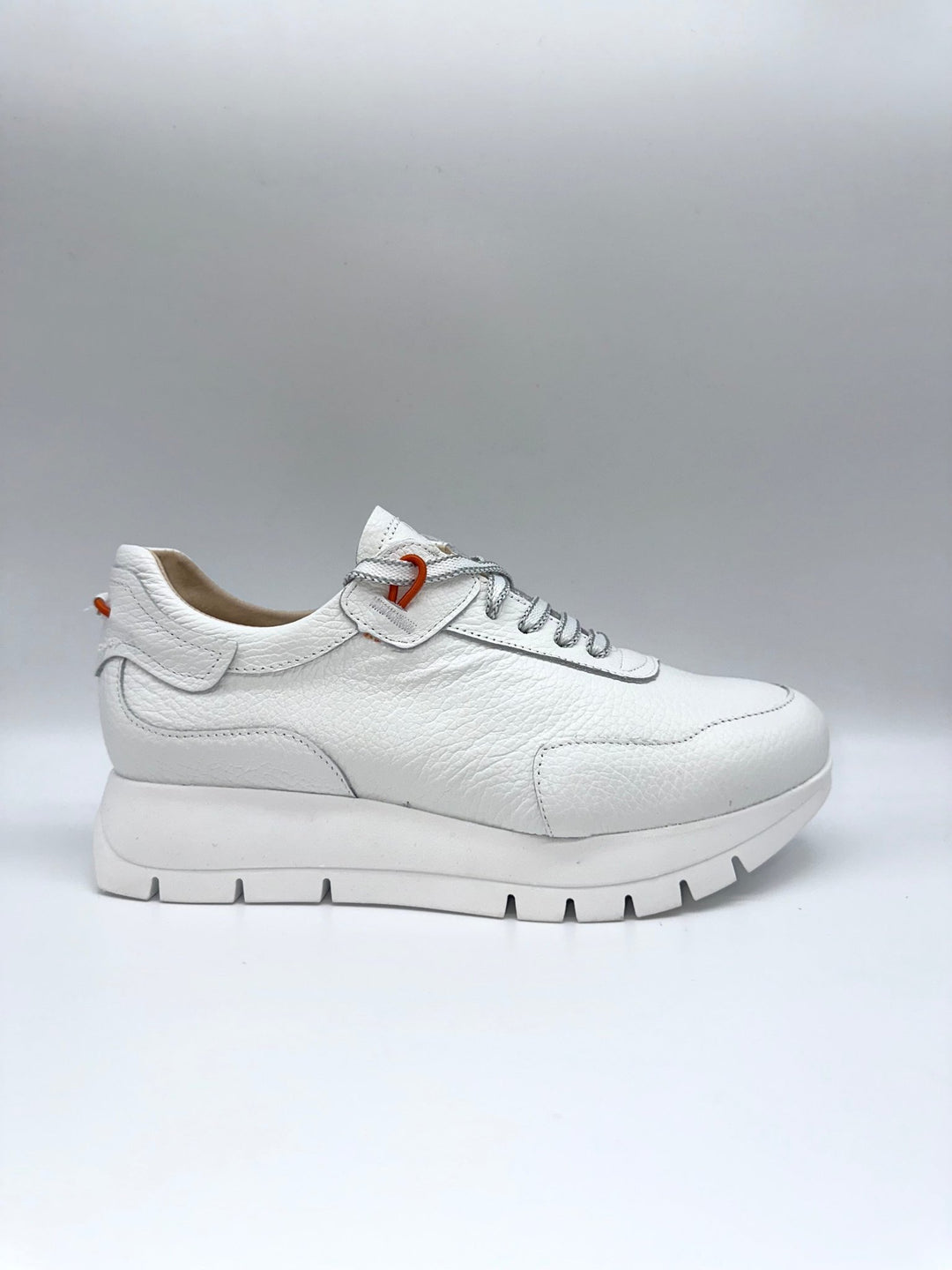 2287 | White | Jose Saenz | Trainers | Jenny Shoo Bootique