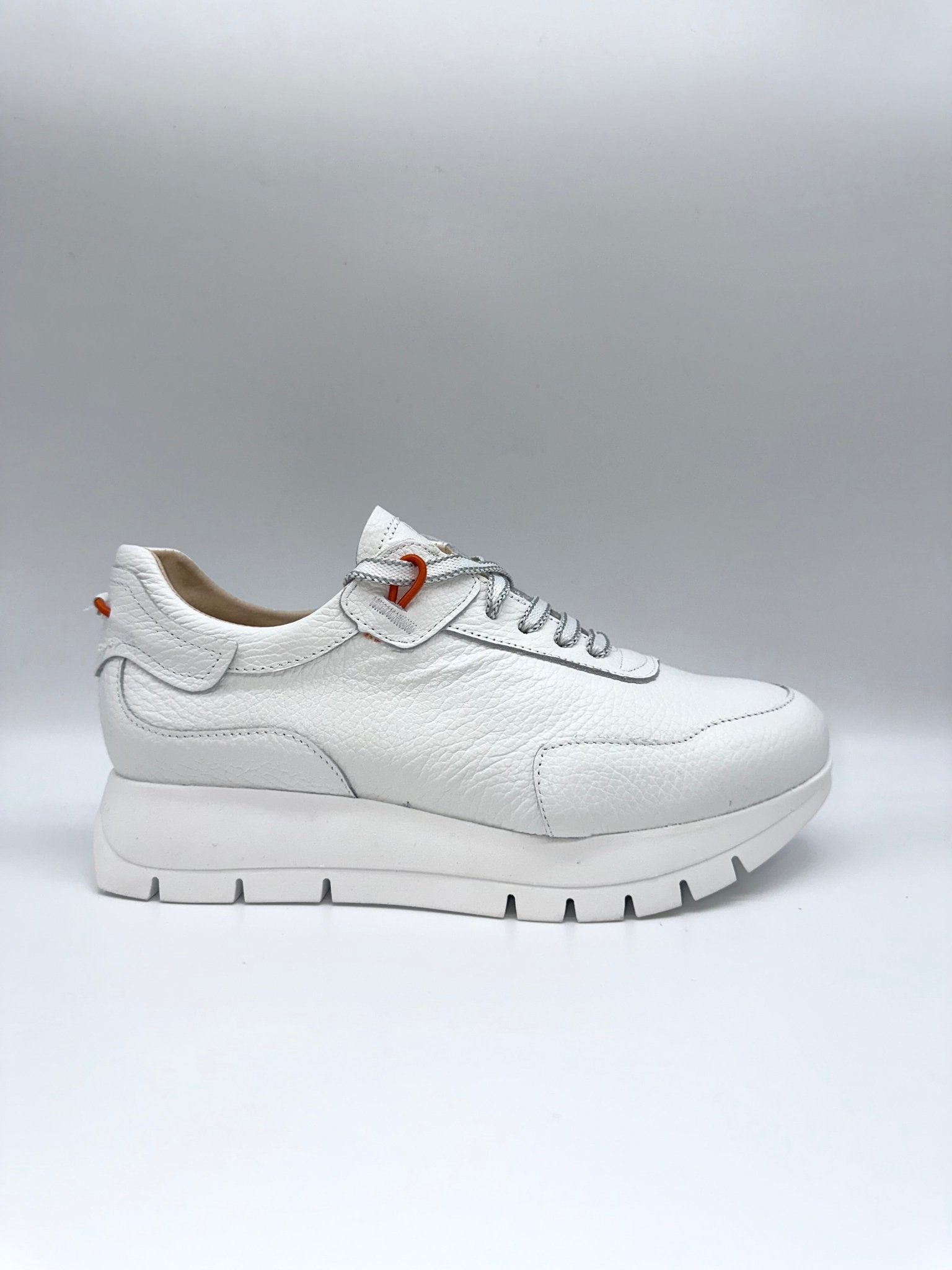 2287 | White | Jose Saenz | Trainers | Jenny Shoo Bootique