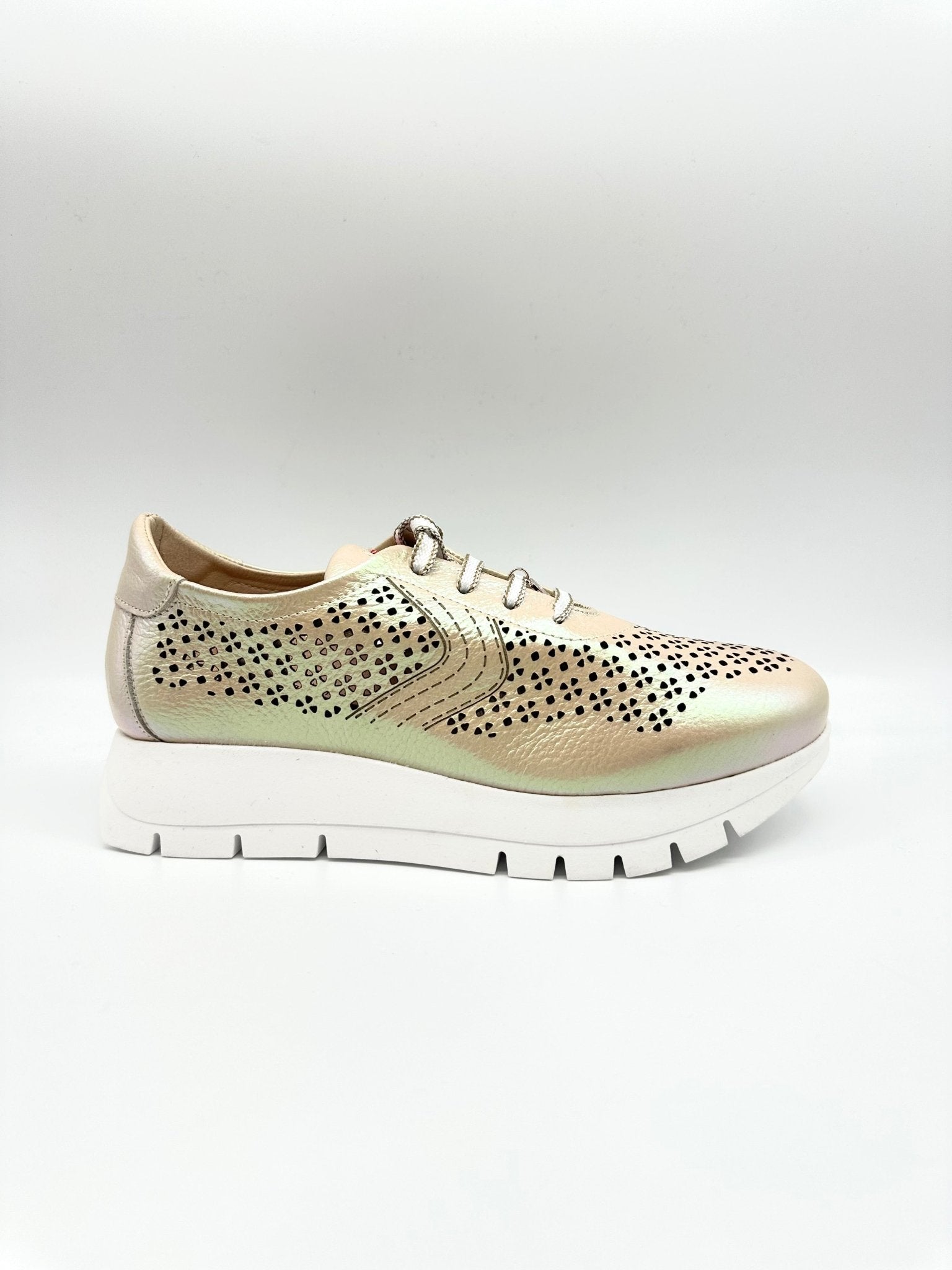 2314 | Gold | Jose Saenz | Trainers | Jenny Shoo Bootique