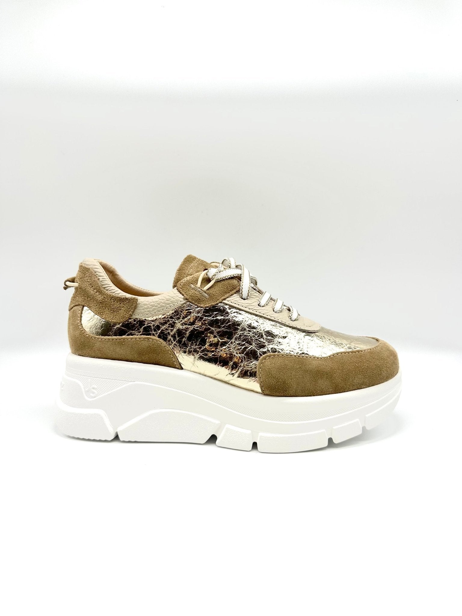 3901 | Gold | Jose Saenz | Trainers | Jenny Shoo Bootique