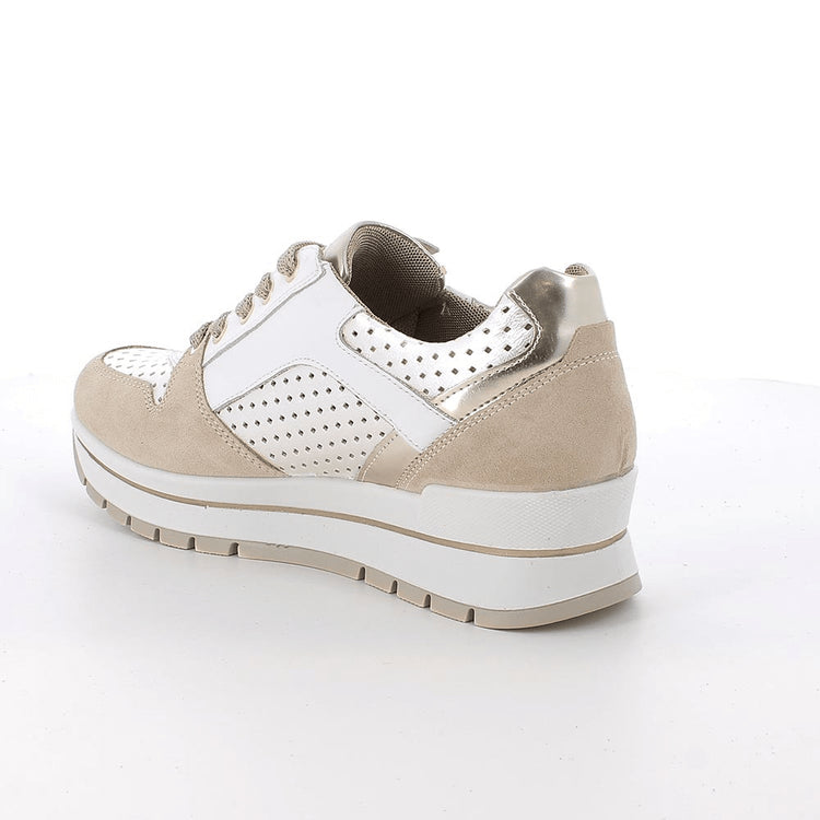 Purdy | Beige - Gold | IGI & CO | Trainers | Jenny Shoo Bootique