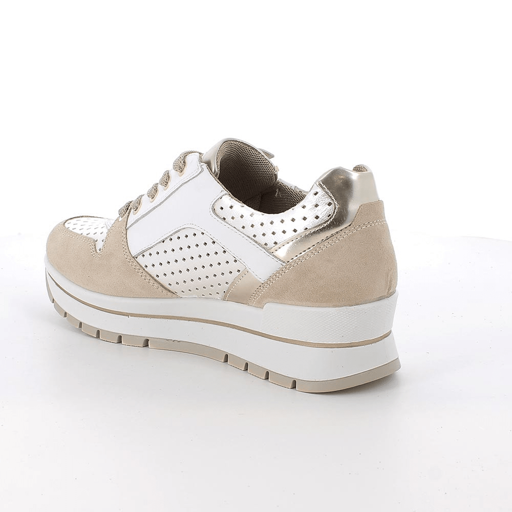 Purdy | Beige - Gold | IGI & CO | Trainers | Jenny Shoo Bootique
