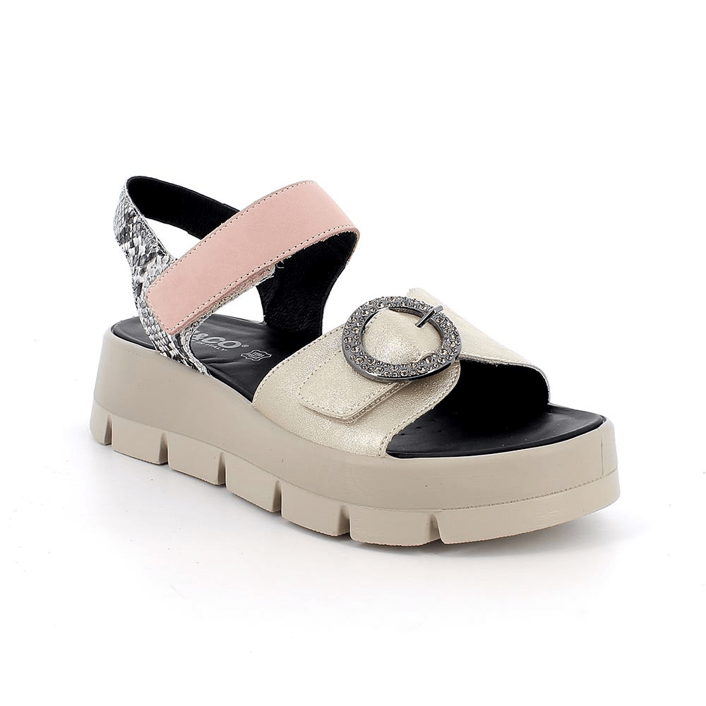 Penny | Multi | IGI & CO | Sandals | Jenny Shoo Bootique