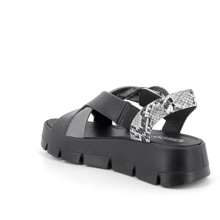 Pippa | Black | IGI & CO | Sandals | Jenny Shoo Bootique