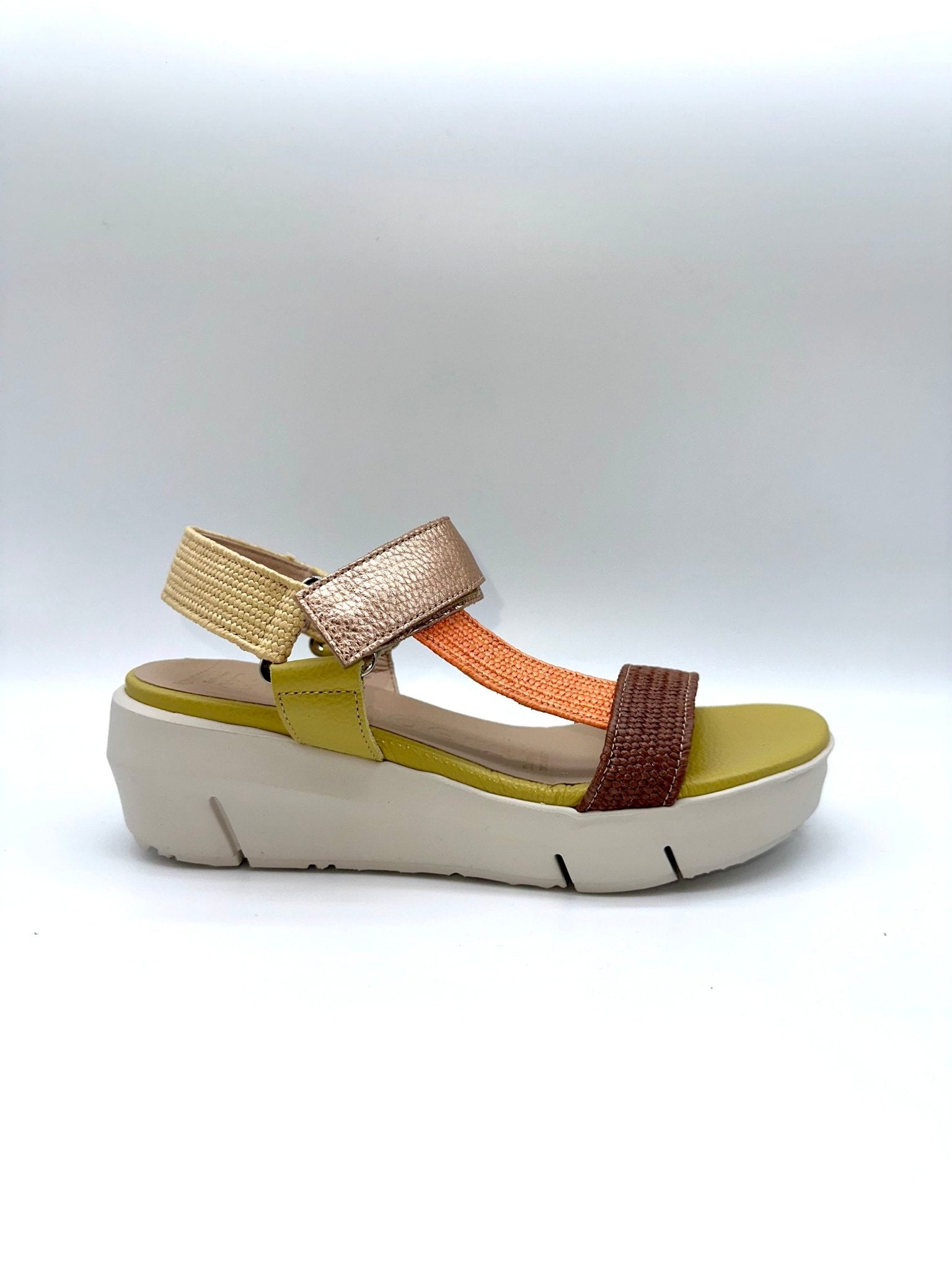 Flynn | Multi | Wonders | Sandals | Jenny Shoo Bootique