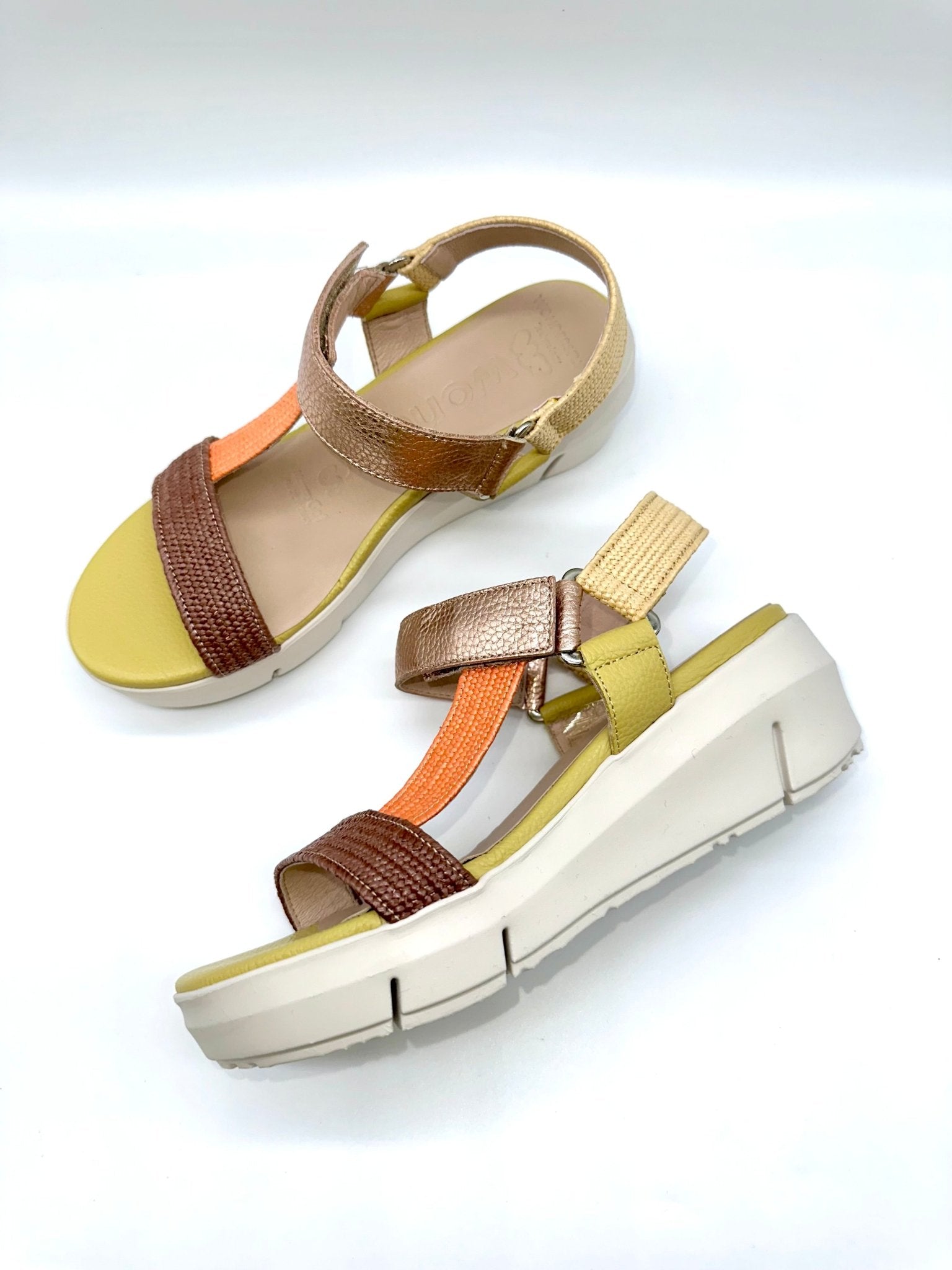 Flynn | Multi | Wonders | Sandals | Jenny Shoo Bootique