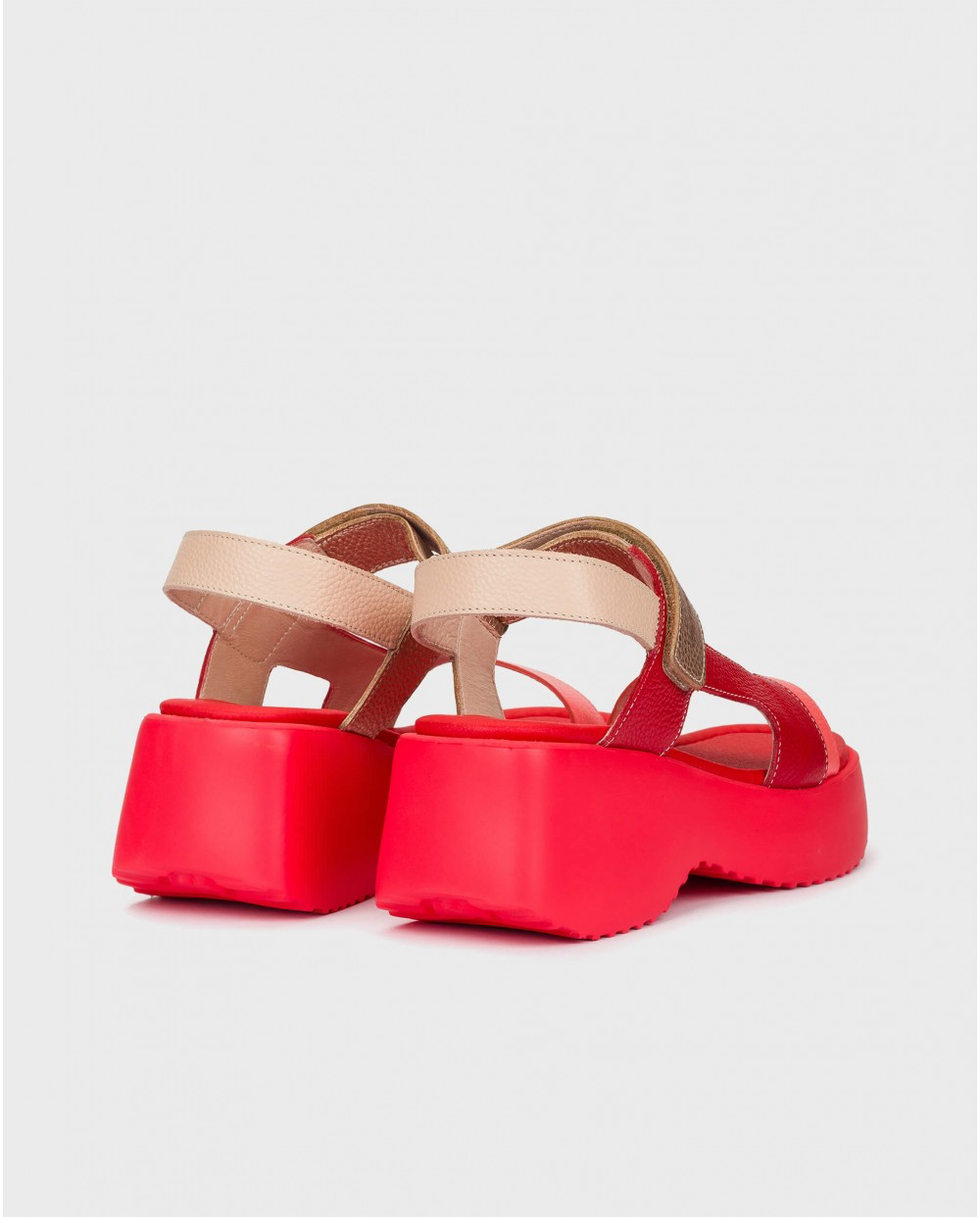 Telva |Red-Coral