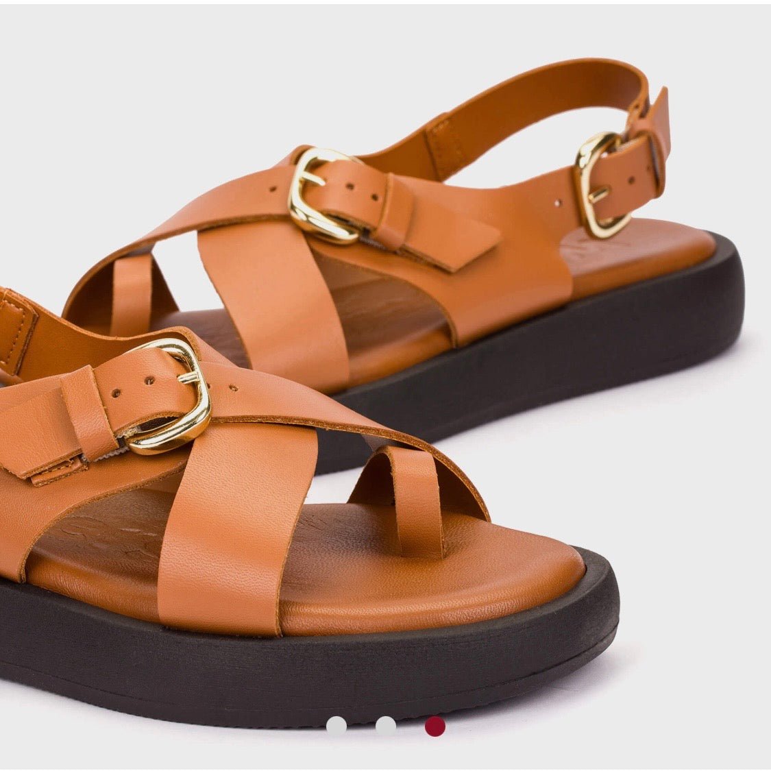 Horizon 32 | Tan | Wonders | Sandals | Jenny Shoo Bootique