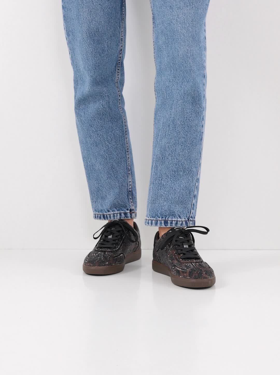 Champ | Mocca Leopard