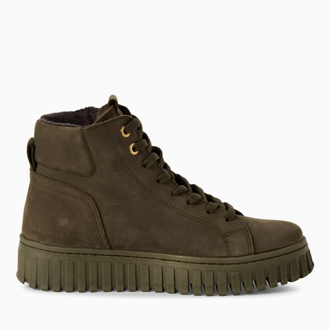 Barbur | Olive