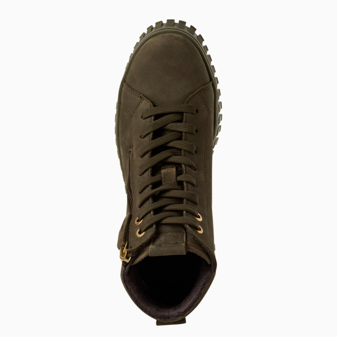 Barbur | Olive