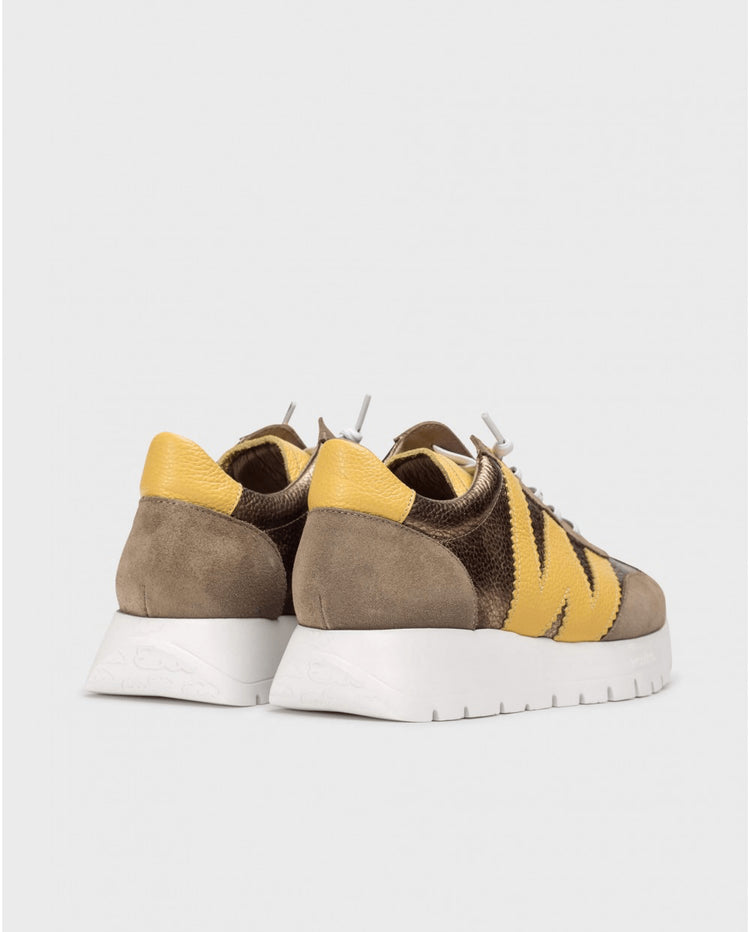 Odisei 76 | Taupe - Yellow | Wonders | Trainers | Jenny Shoo Bootique