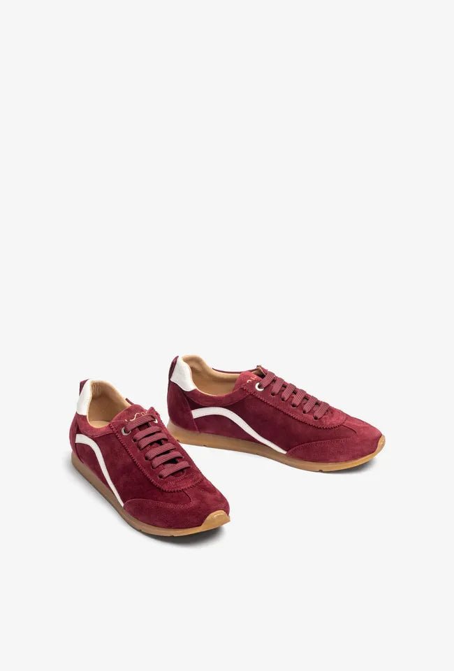 Dalai | Bordeaux | Unisa | Trainers | Jenny Shoo Bootique