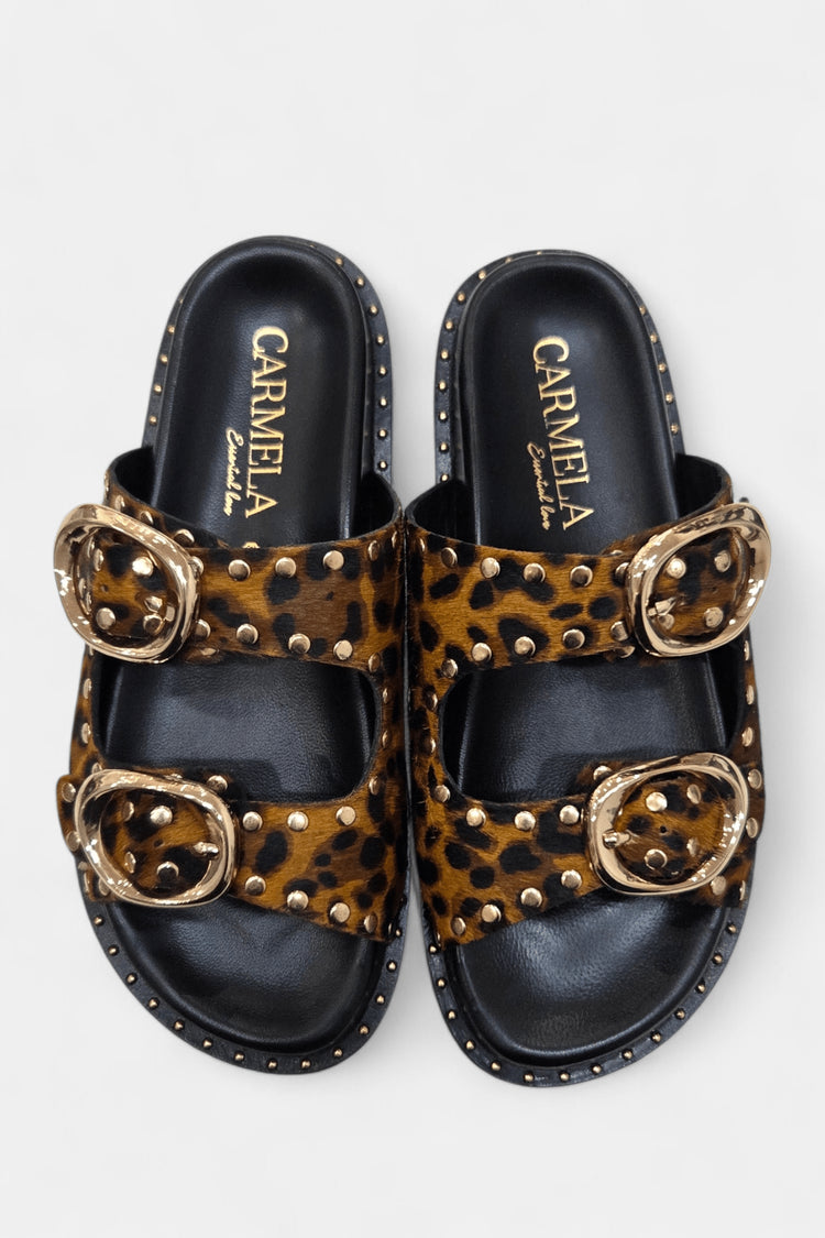 Lynx | Leopard | Carmela | Mules | Jenny Shoo Bootique