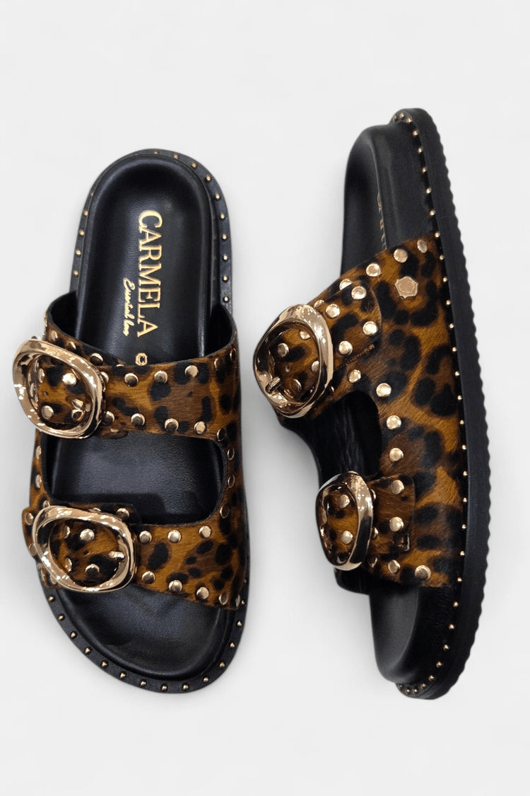 Lynx | Leopard | Carmela | Mules | Jenny Shoo Bootique