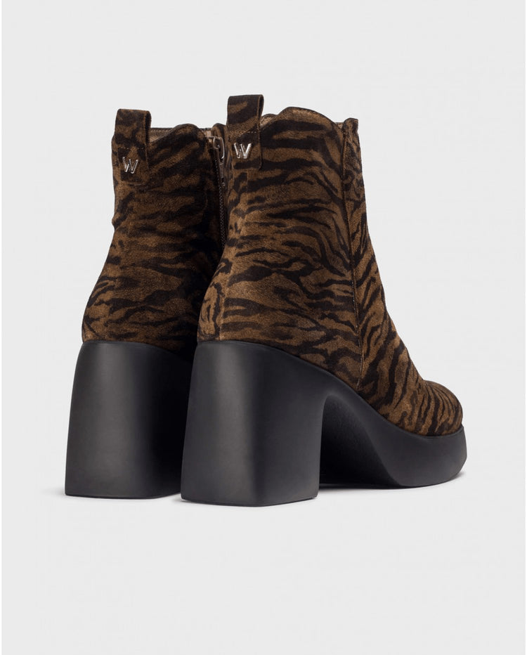 Lady Zebra 81 | Black - Tan | Wonders | Ankle Boots | Jenny Shoo Bootique