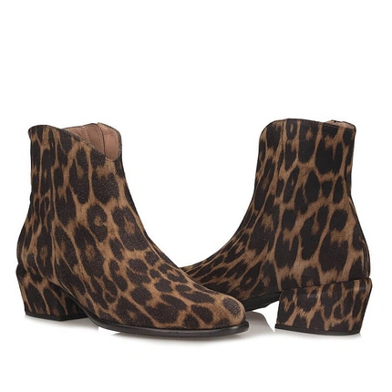 Fei | Leopard